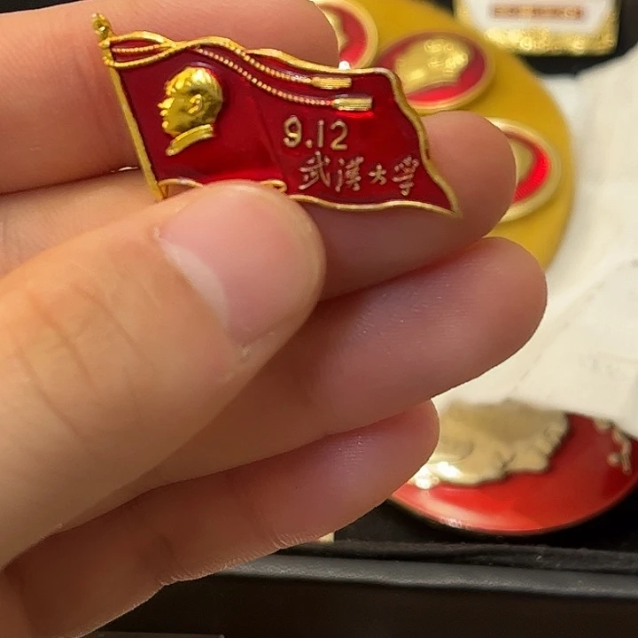 用***8像章一一一高贵轻扬在