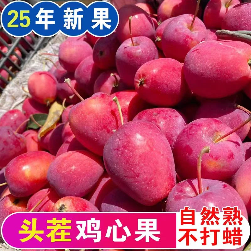 内蒙古巴彦淖尔鸡心果新鲜当季水果酸甜可口小苹果锦绣海棠果