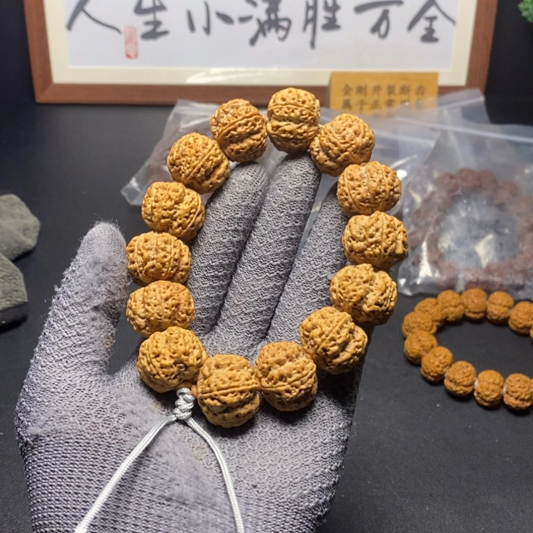 菩提金刚菩提10号