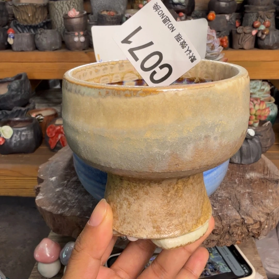 重庆小燕子欢迎大家071