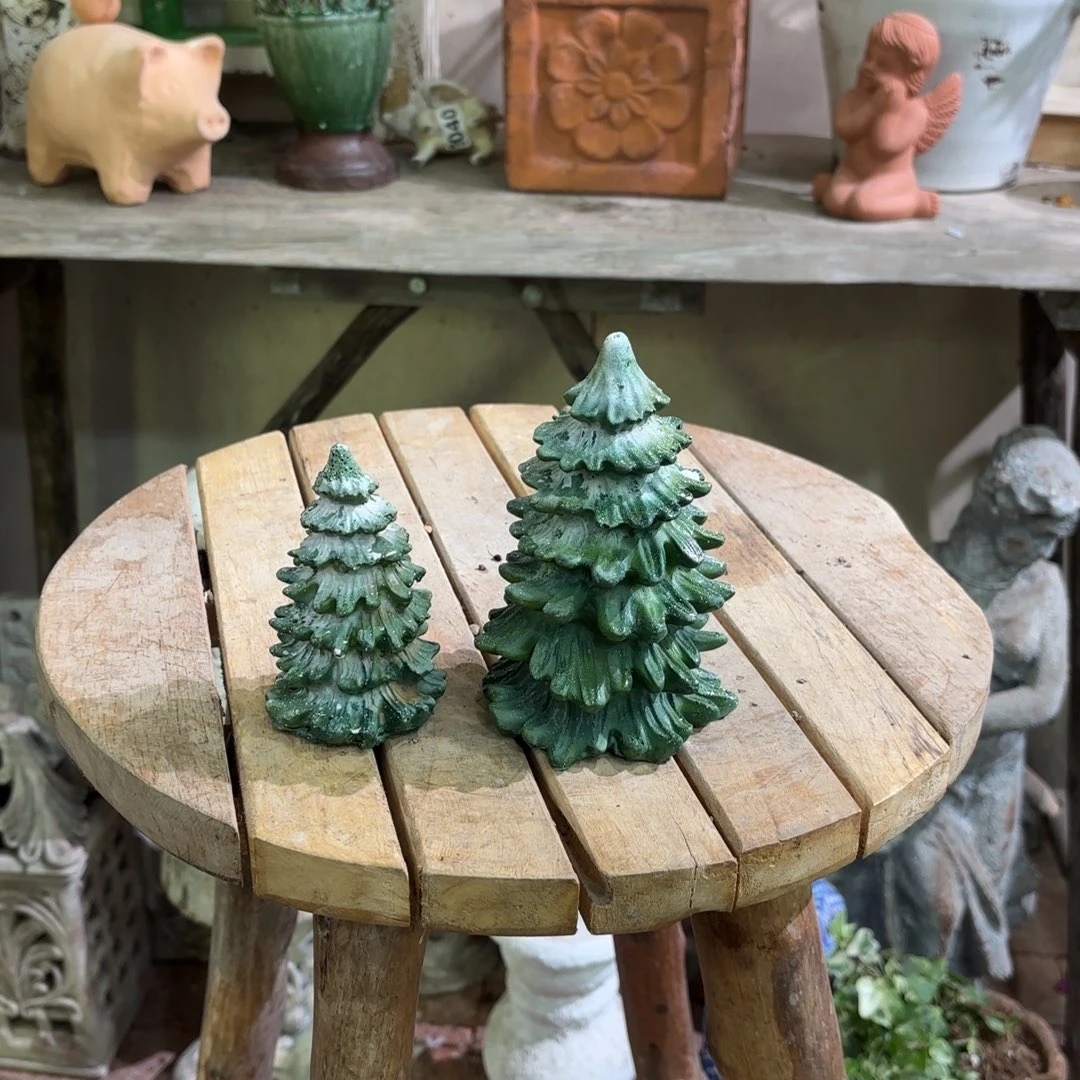 许纯的花房 树一套