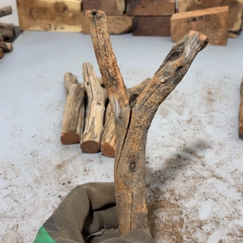 大果紫檀（缅甸花梨）临****）