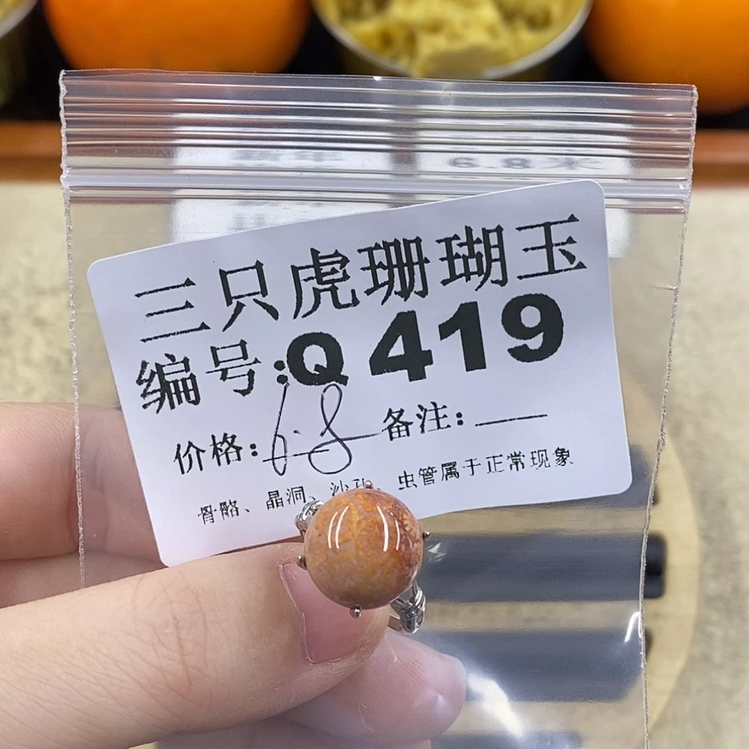 硅化珊瑚（珊瑚玉）1未镶嵌成*