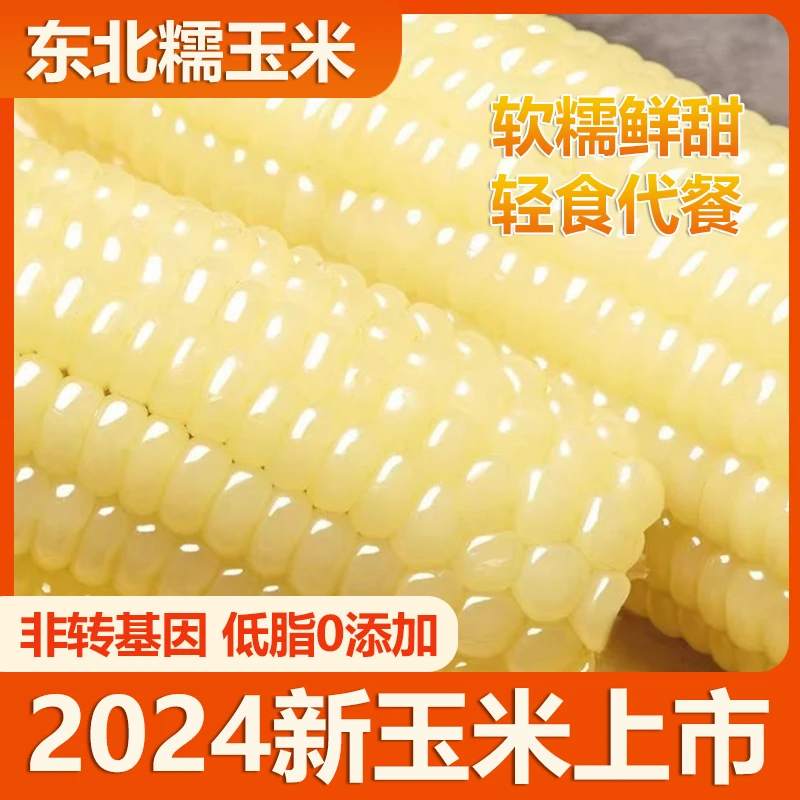东北白糯玉米新鲜现摘真空包装加热即食粗粮代餐甜东北粘糯玉米