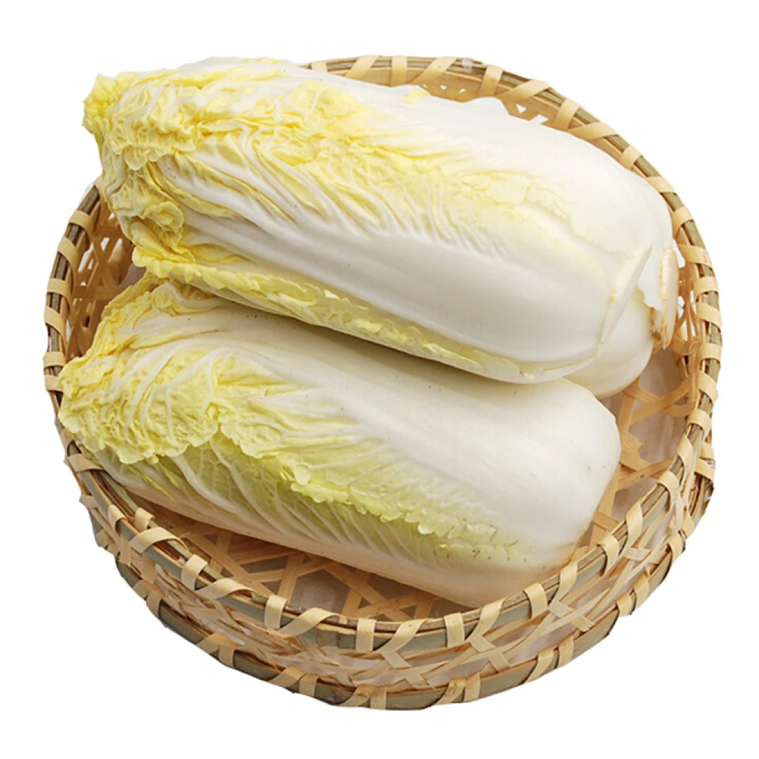 云南高山新鲜娃娃菜时令蔬菜黄心白菜嫩脆甘甜现砍现发包邮