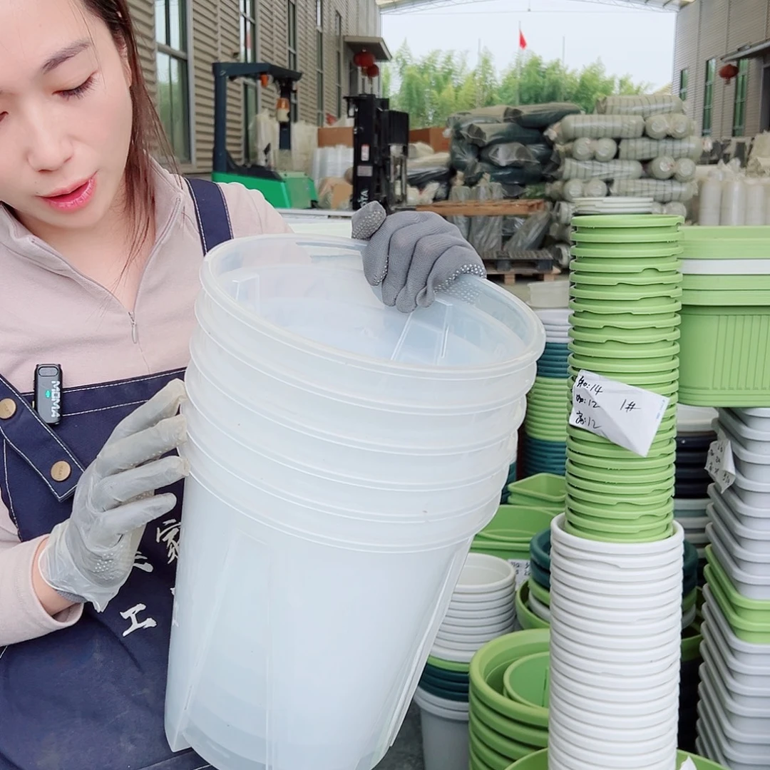 瑕疵空气柱24#透明6个无托