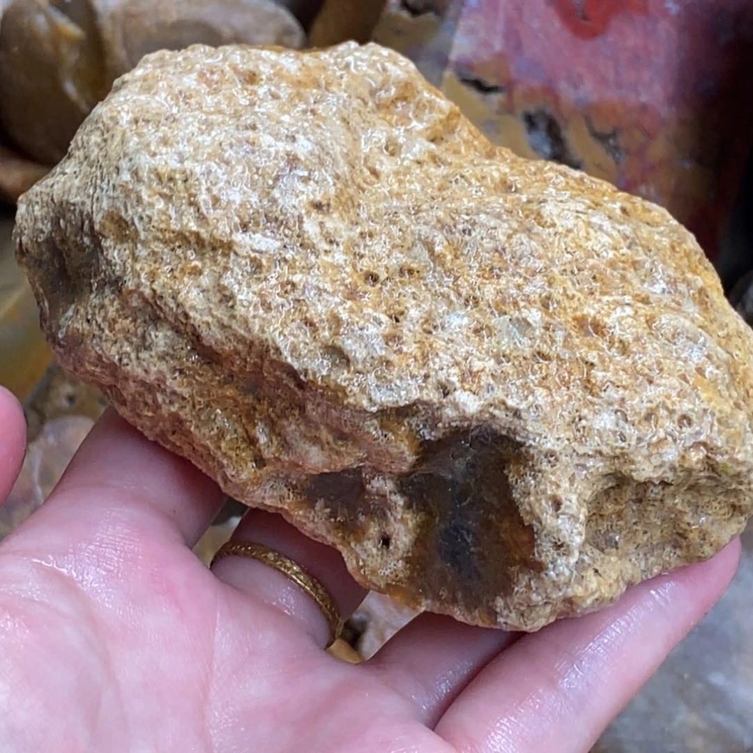 【闪购商品】硅化玉颈饰未镶嵌