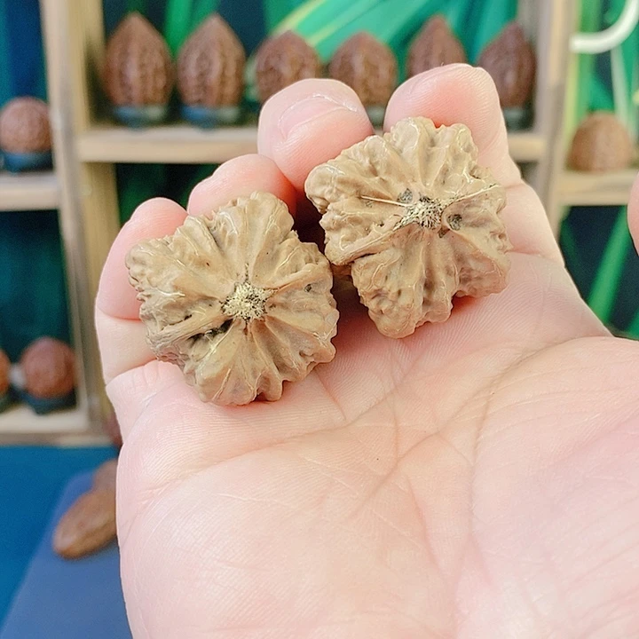 文玩核桃吊坠038方底金蟾