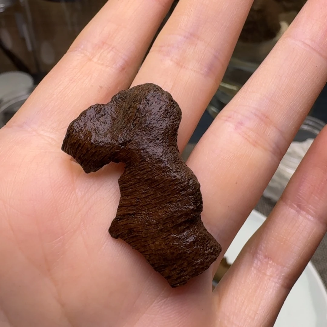 深***夜木海南文昌沉水鸡母虫漏1.9克