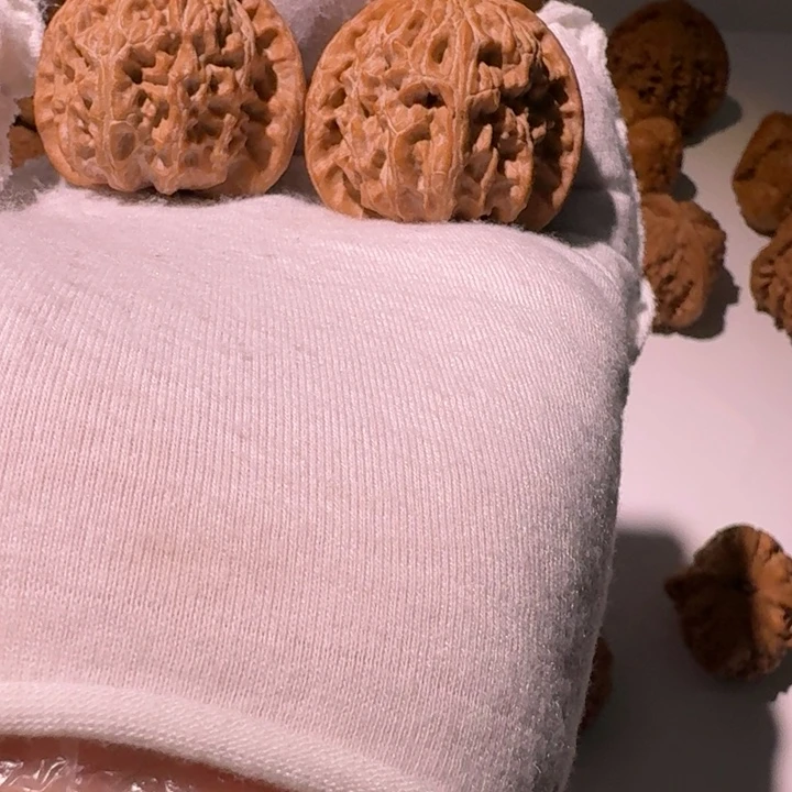 莫***名山地白狮子全品38尺