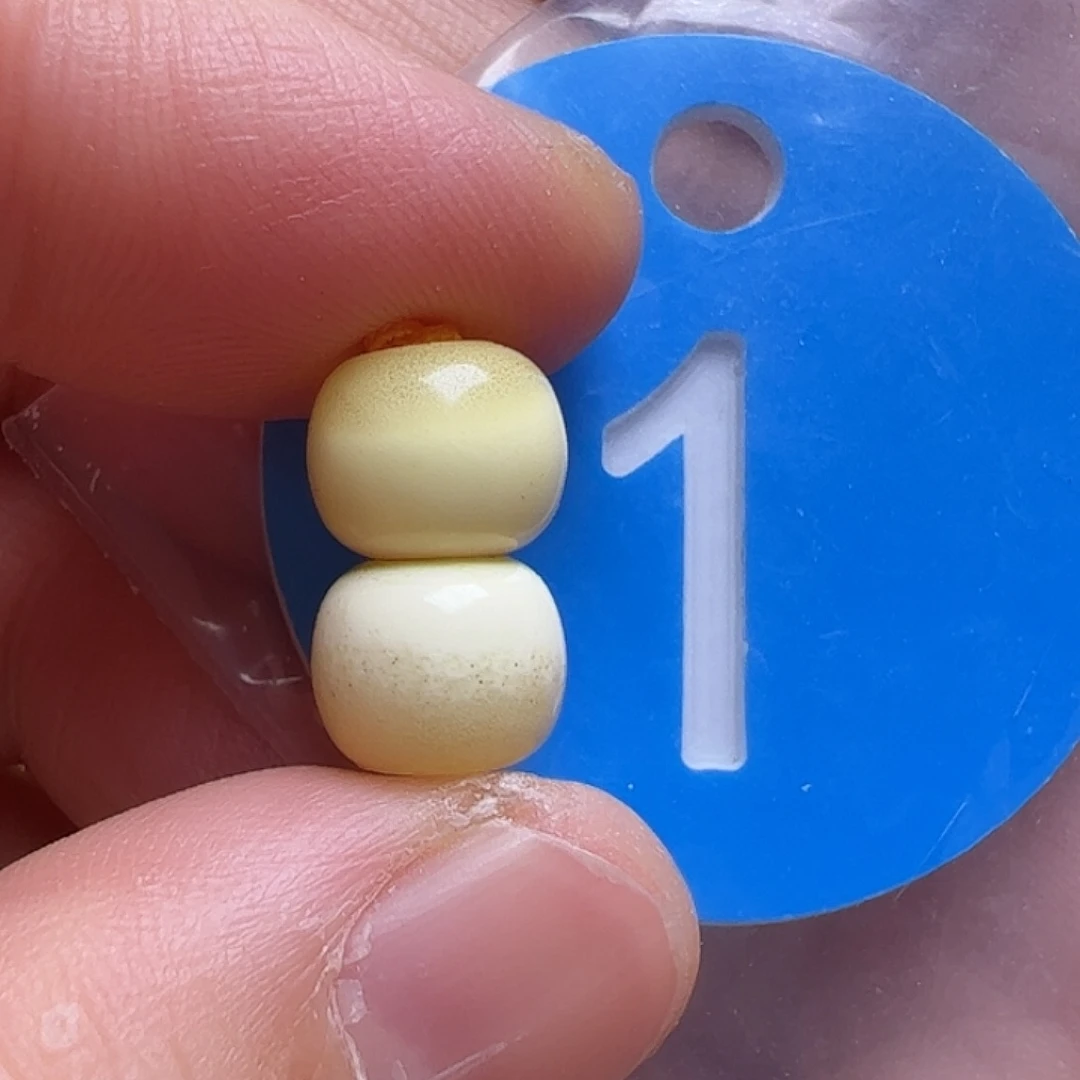 蜜蜡未镶嵌珠宝奇石8.4mm花粉