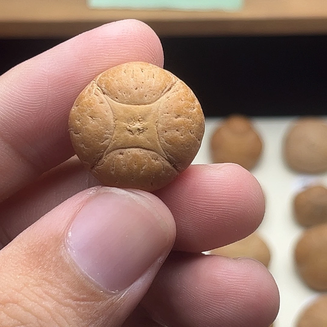 陈***焕吊坠凤眼菩提2号4星