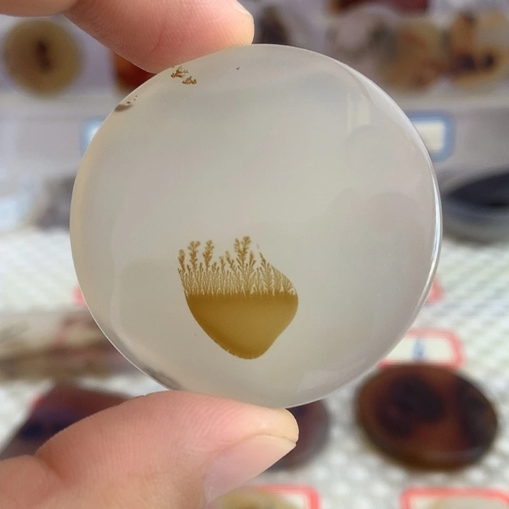 合金颈饰玛瑙/玉髓