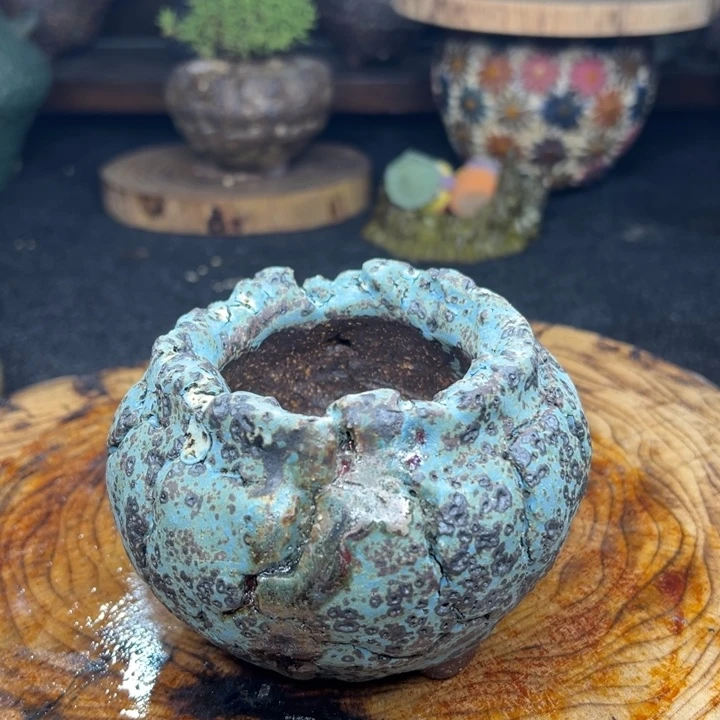 陶瓷制品不退不换11