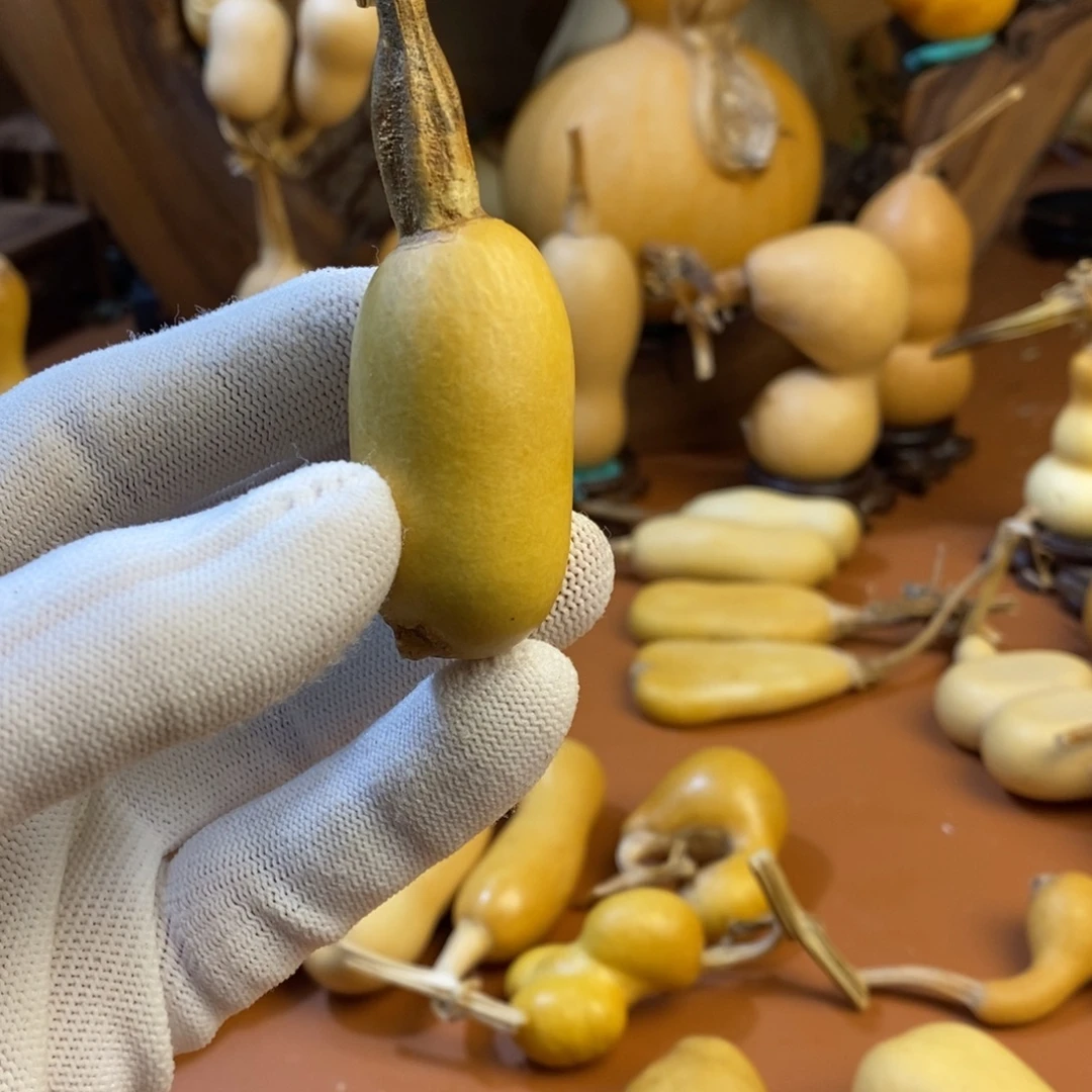 邹***吉教练教练教练教练啦