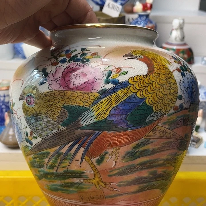 瓷片胜*义哈哈哈我来了笑