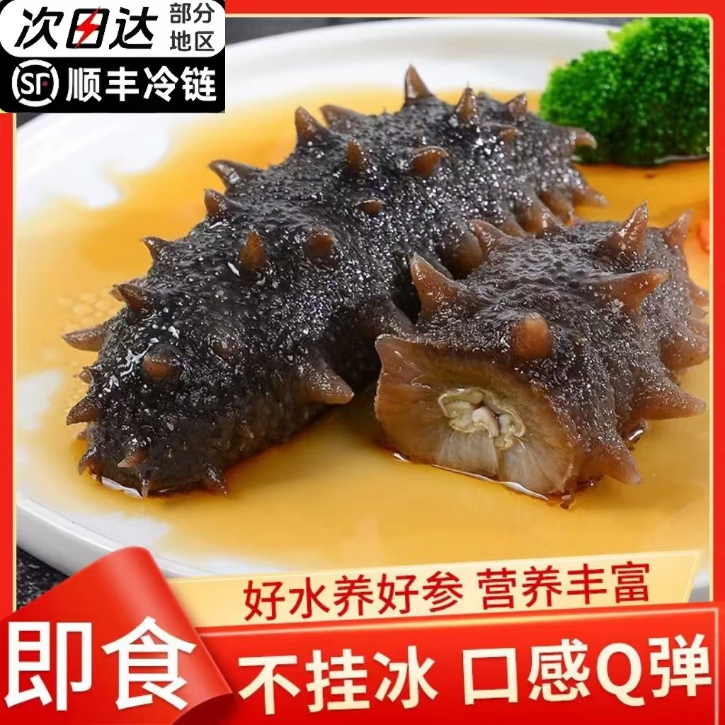 【顺丰冷链次日达】【精品】野生海参深海底播开袋即食独立包装