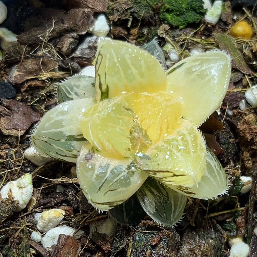 恭喜发财大吉大利836