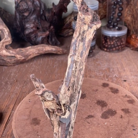 黄花梨/降香黄檀宋***好