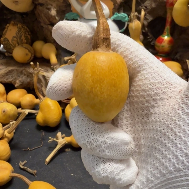 云***烟76666666555665666