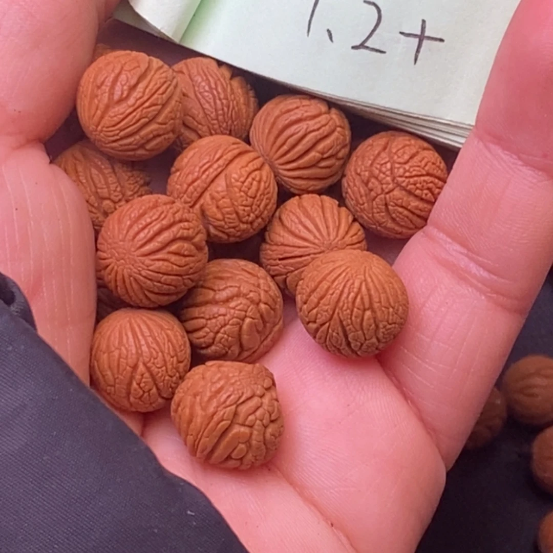 秦岭龙纹桃核20颗