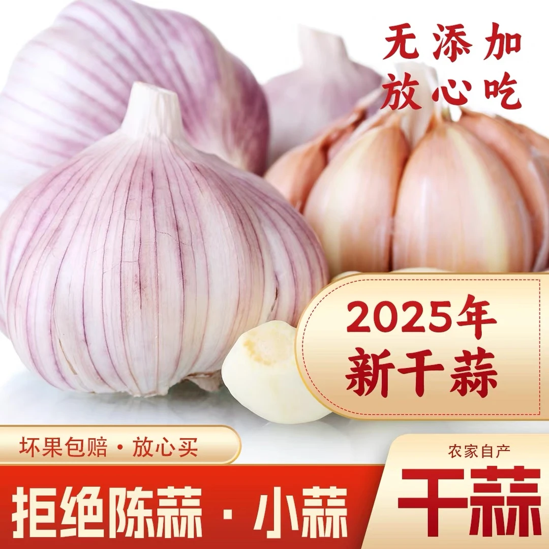 【山东金乡大蒜】正宗紫白皮多瓣干大蒜新鲜蒜头腌制农家自种大蒜