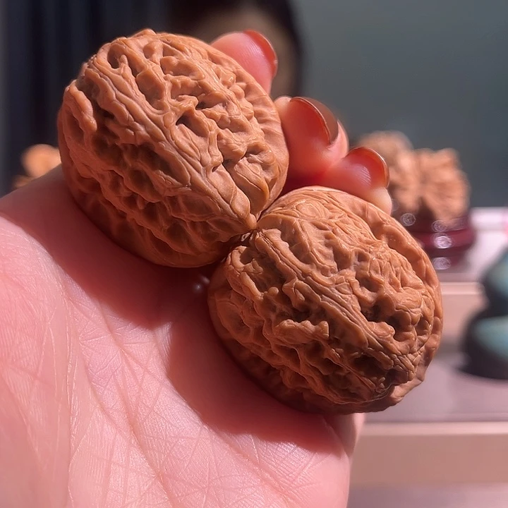 核桃红锦鲤全品无休