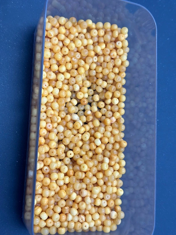 5mm+蜜蜡老型一对（多样性发其一）