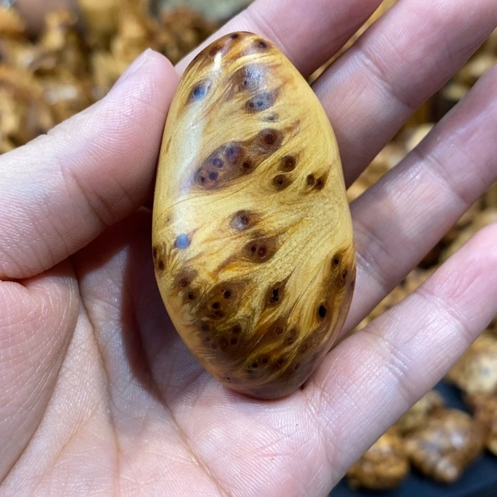 柏木（崖柏）崖柏888