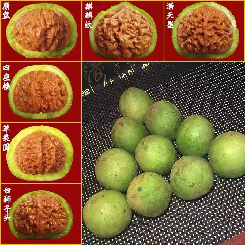 现摘现发文玩核桃青皮定制狮子头