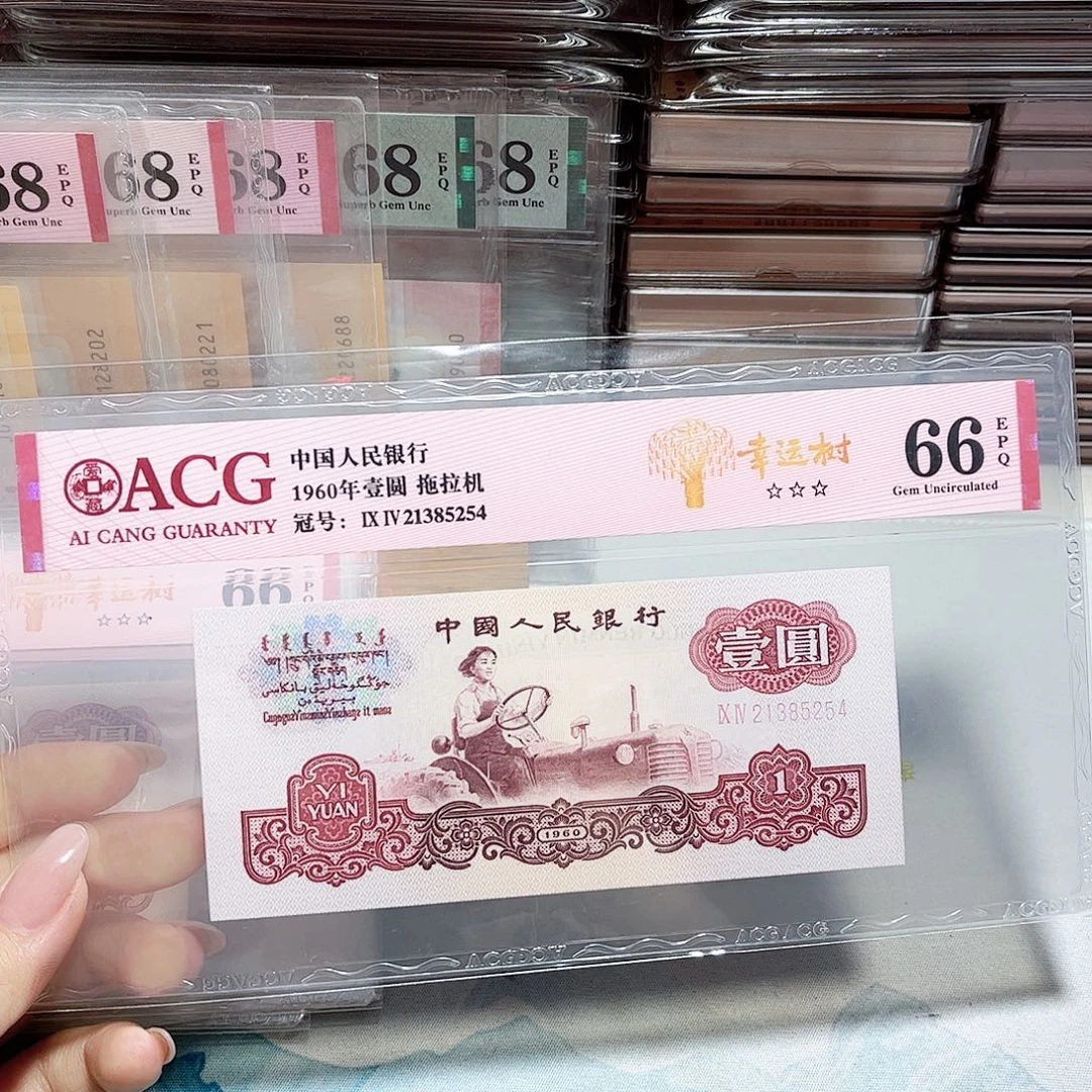 21385254。。。。幸运树