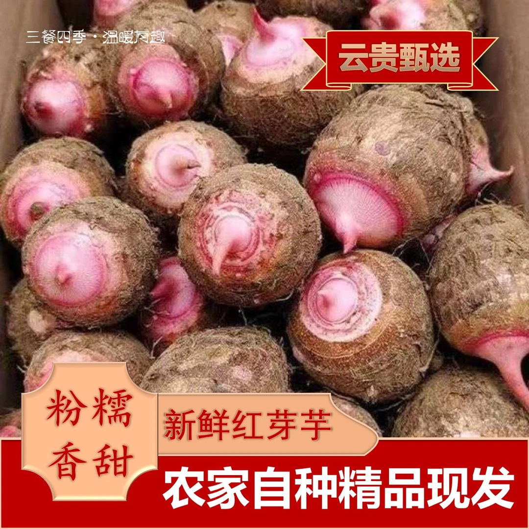 （文文）农家特产代收山货红芽芋头小乌芋头巨粉