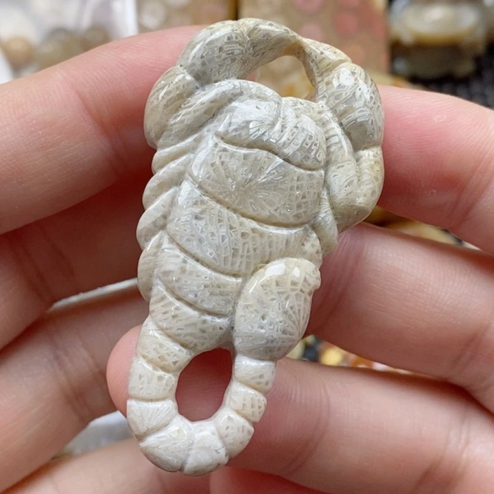 硅化珊瑚（珊瑚玉）颈饰未镶嵌