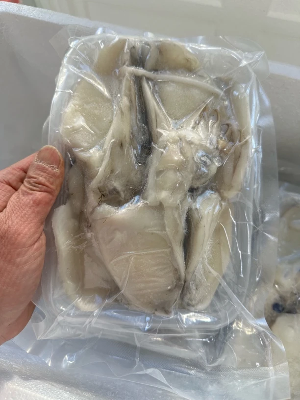 广鹿岛生墨鱼片3斤顺丰包邮（一盒一斤）