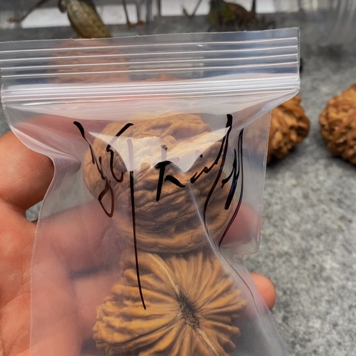 新***洲文玩核桃吊坠楼子