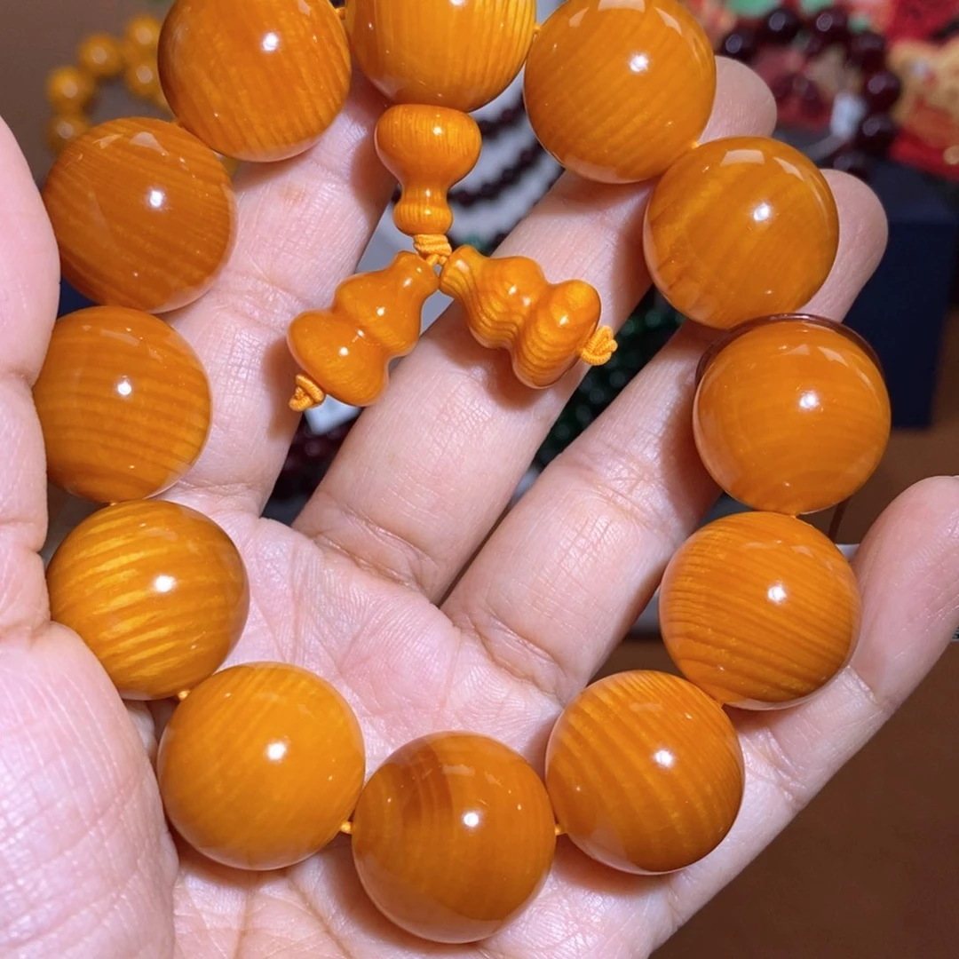 贝壳杉帝王血龙木2.0