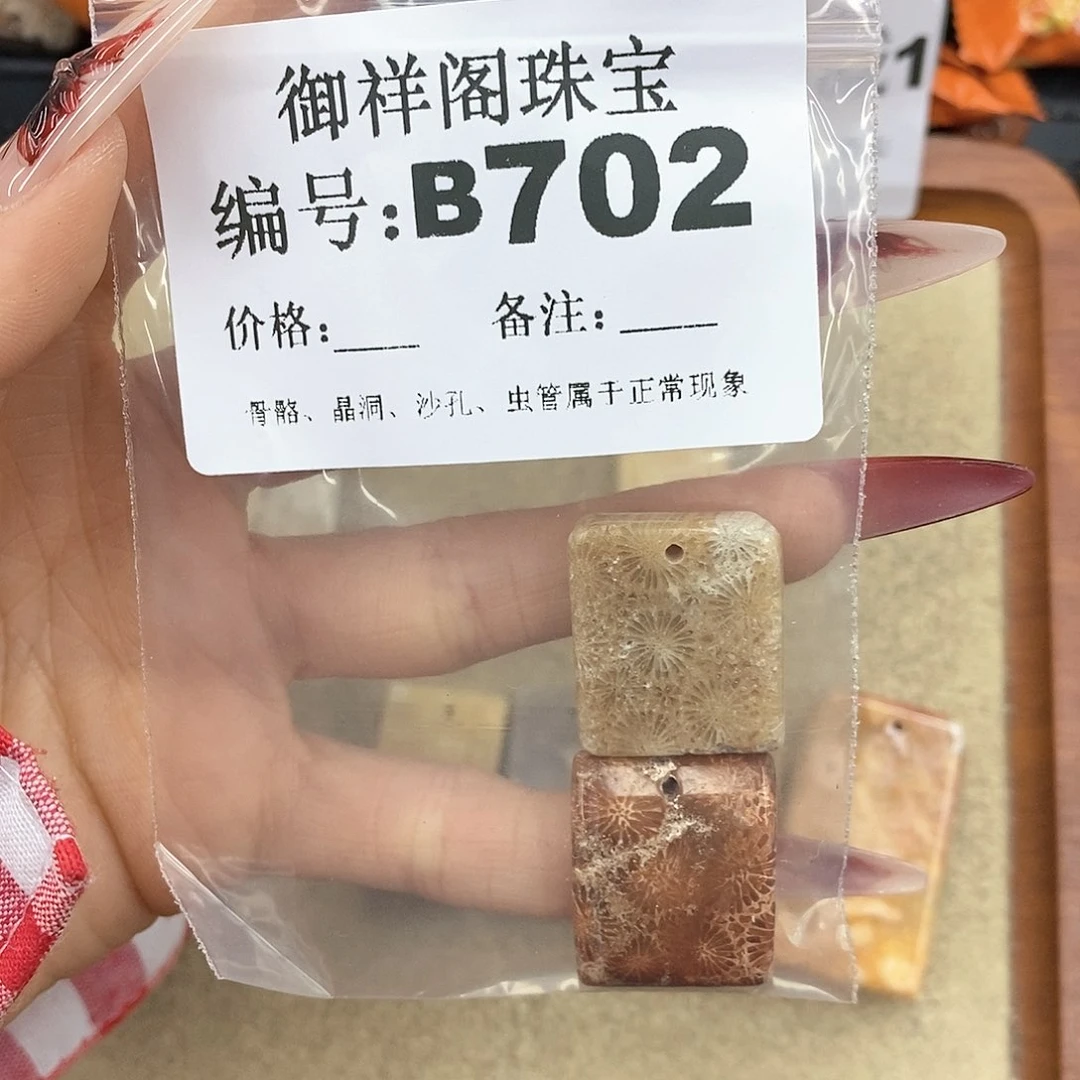 硅化珊瑚（珊瑚玉）颈饰未镶嵌玖*