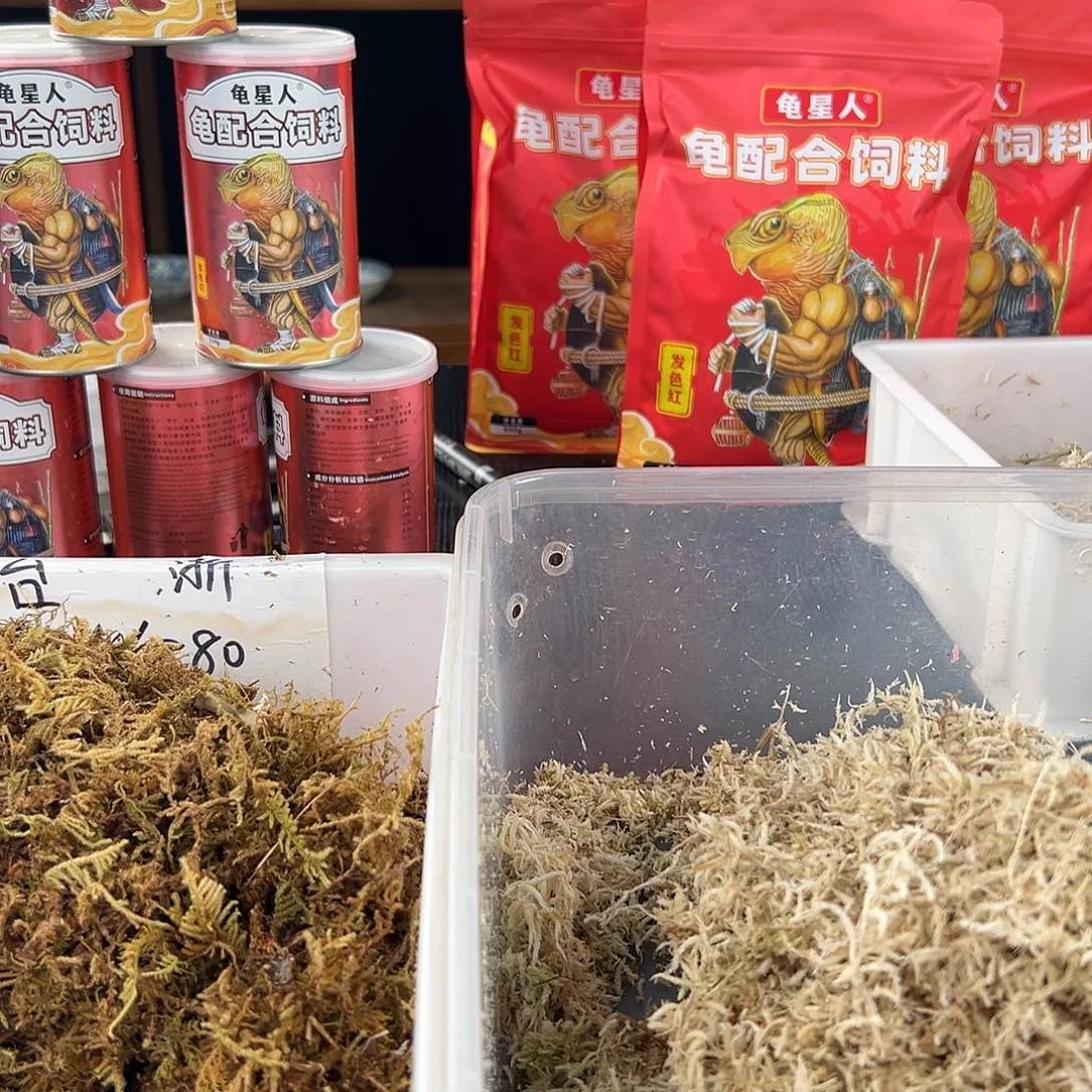 母崽*没有尾巴的龟龟