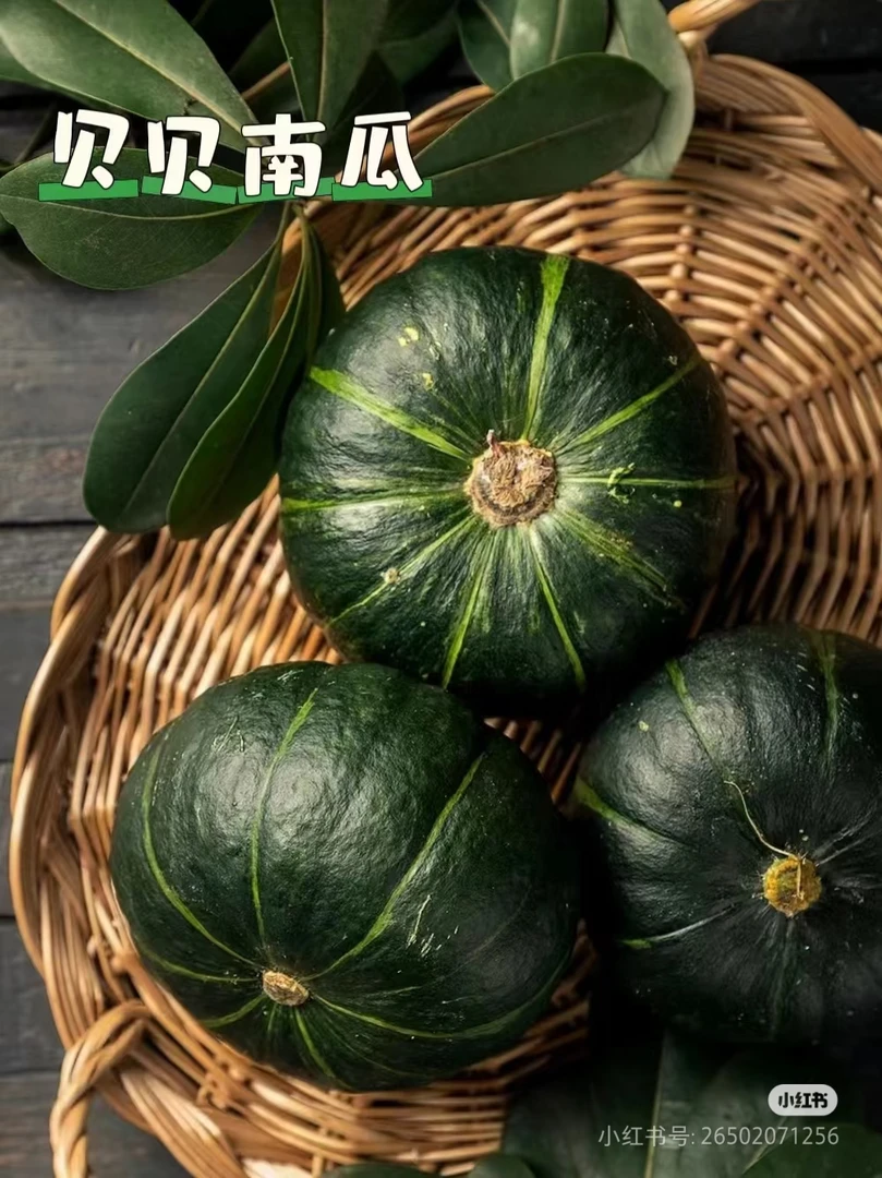 正宗贝贝南瓜新鲜南瓜粉糯香甜宝宝辅食板栗味正品新鲜小南瓜甜糯