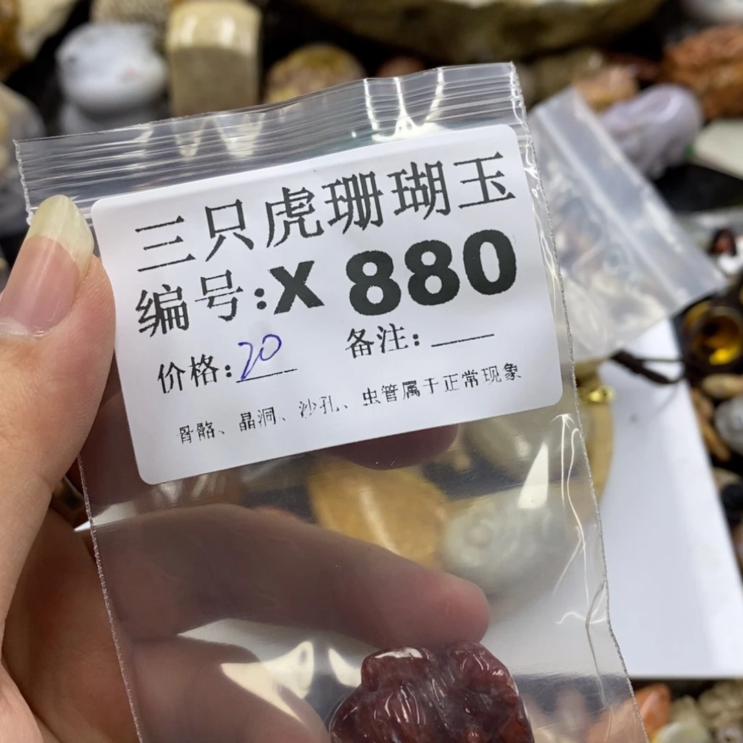 硅化珊瑚（珊瑚玉）X未镶嵌耀**/