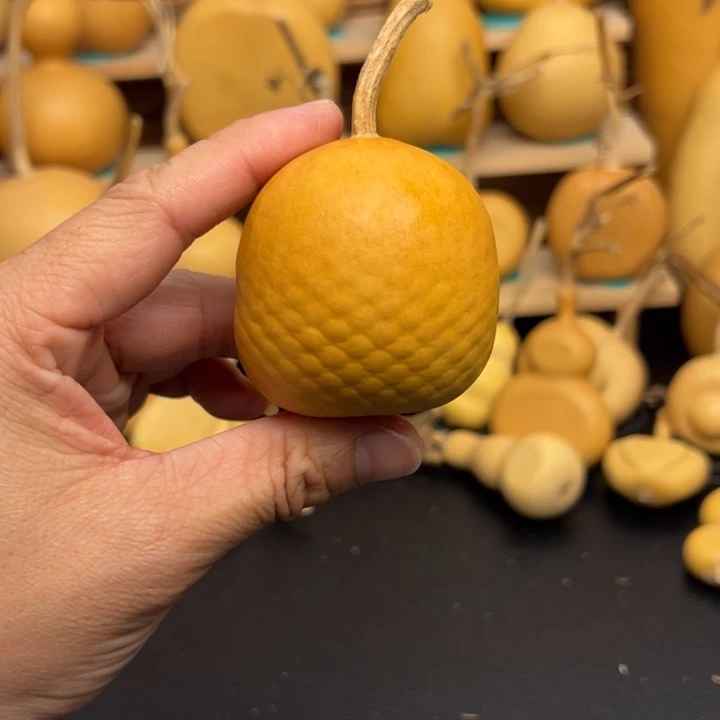 璐**.6665566666655588