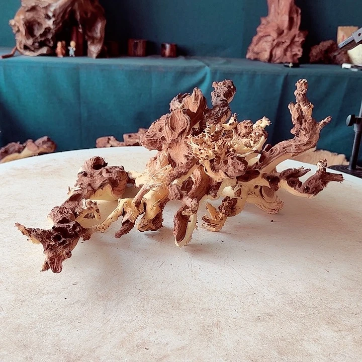 黑果木大****袁258金丝红木羊蹄甲半成品