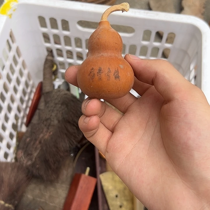 杂色豆（科檀/科特迪瓦檀木）用****6