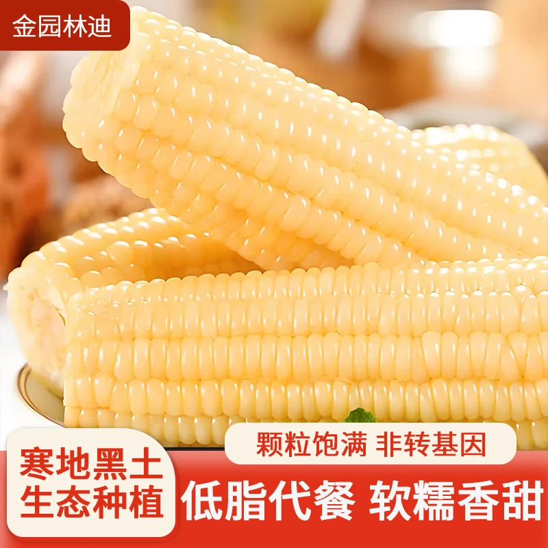 新鲜头茬东北白糯玉米200-350g十支装真空锁鲜香甜饱满代餐饱腹