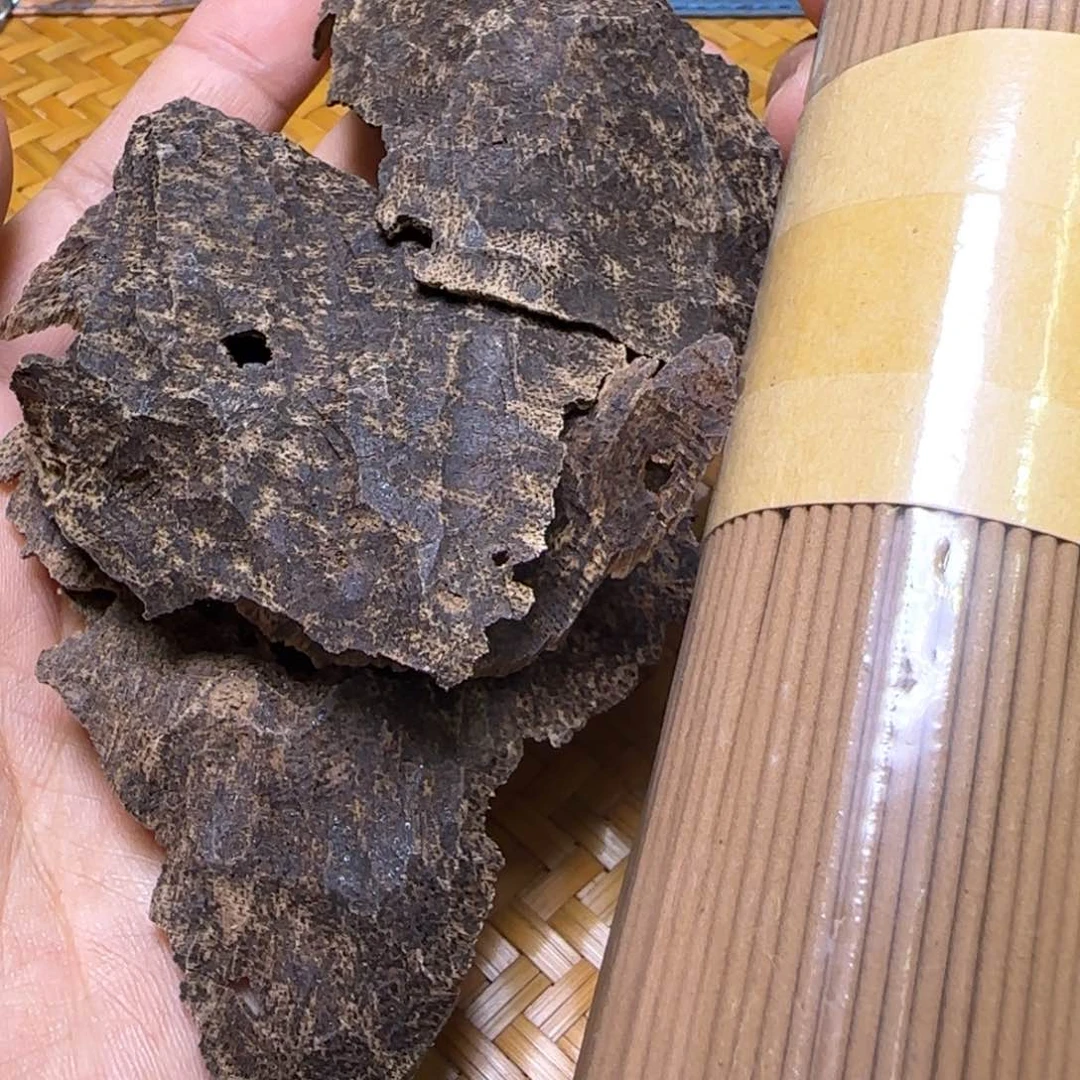 海南保亭老包壳11克重