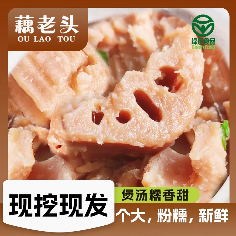 藕老头 新鲜莲藕湖北特产煲汤粉藕粉糯香甜5斤顺丰包邮