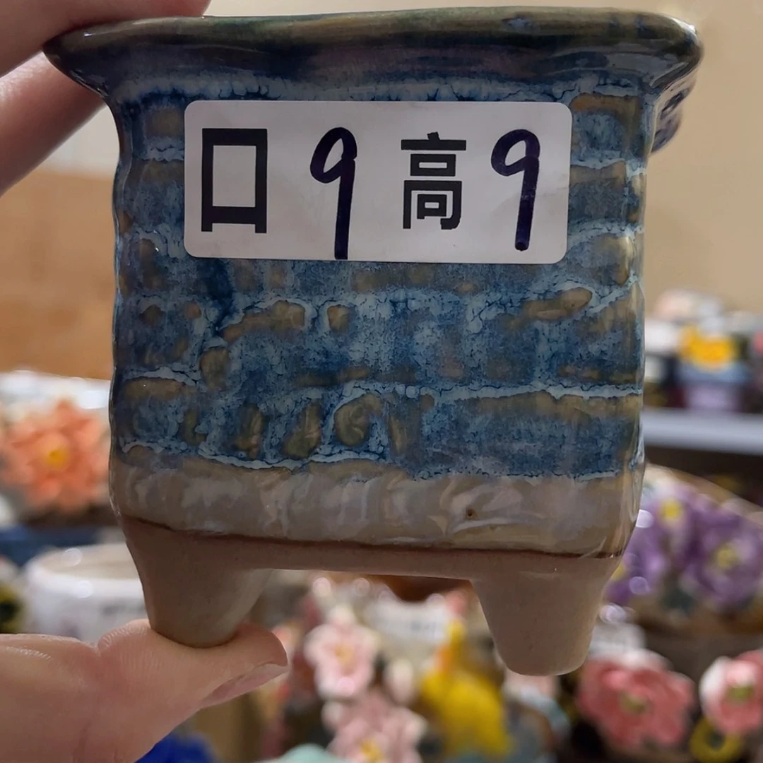 【闪购商品】红陶福利