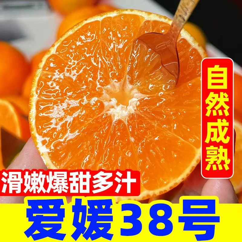 X【坏果包赔】正宗四川爱媛38号果冻橙新鲜应季水果皮薄香甜多汁