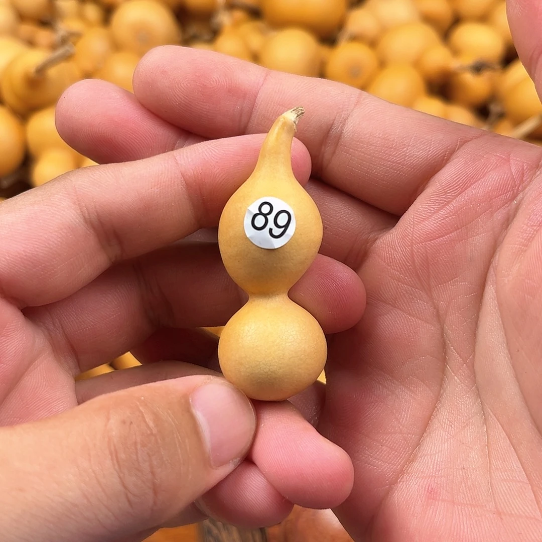 一葫芦葫芦葫芦葫芦89