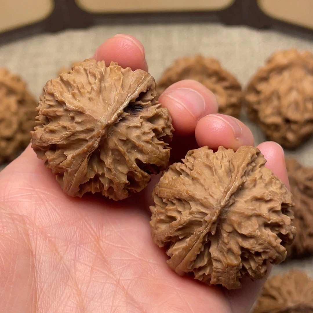 核桃秦岭野生核桃7号